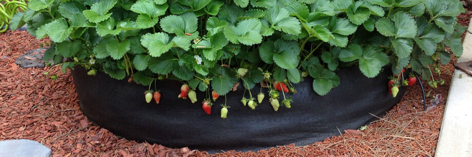Fabric Planters - Grow Bags