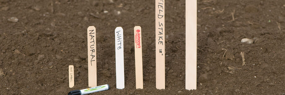 Wooden Plant Labels Pins From Gardening Naturally