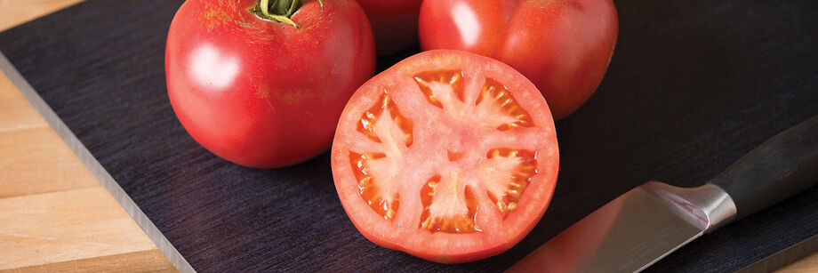 Tomato Seedlings (Slicers)