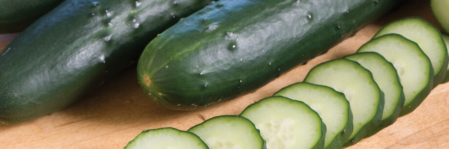 Cucumber Seeds - Organic Varieties