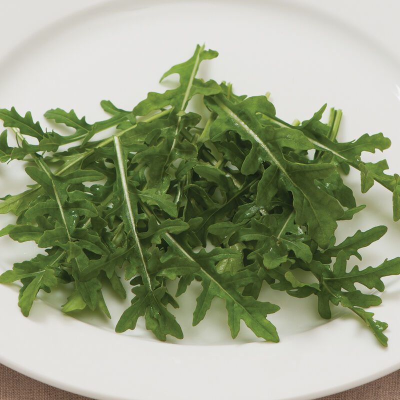 Arugula Roquette Seeds / Spicy Salad/Microgreen