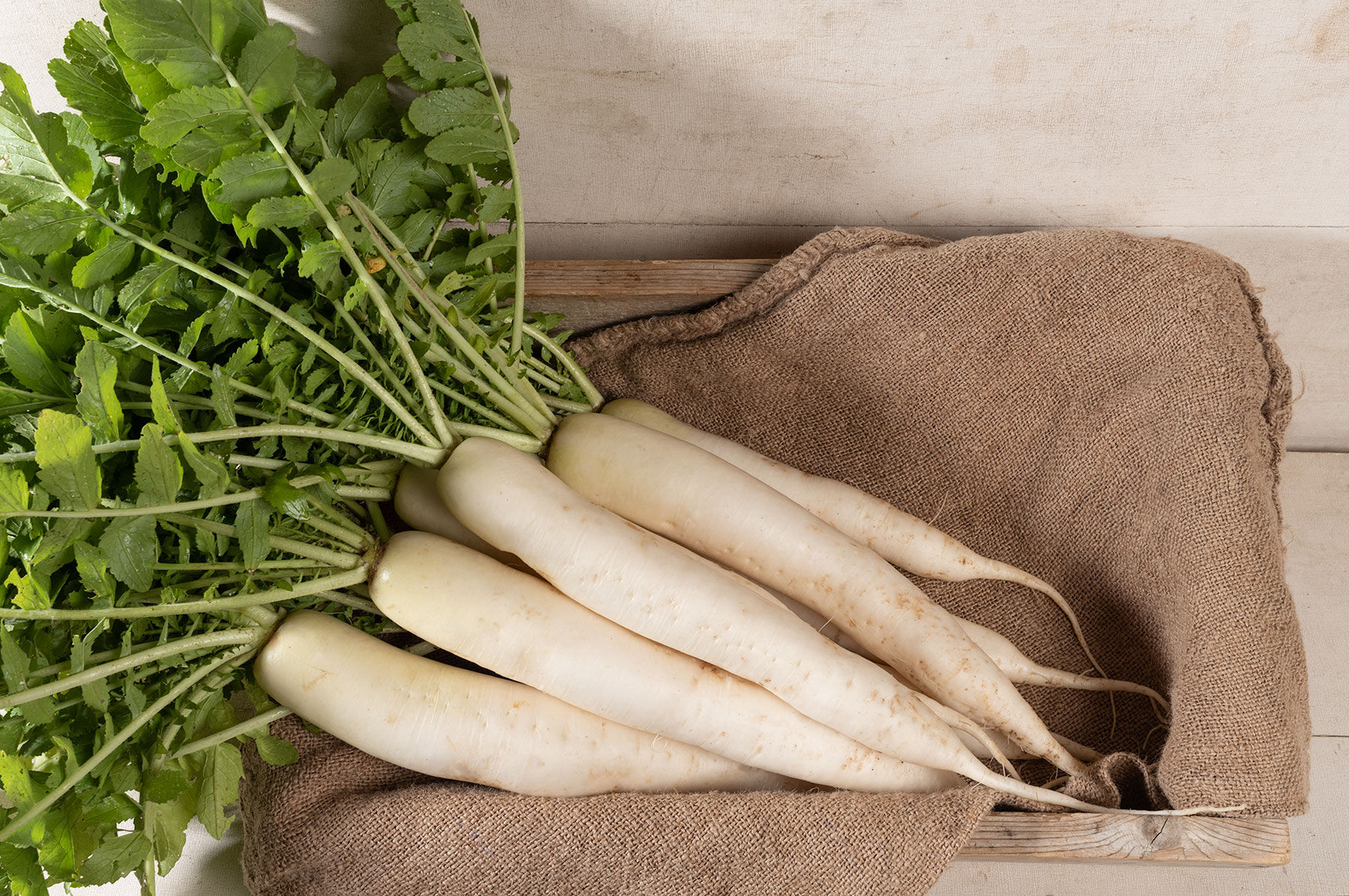 Daikon Radish Powder | NutriCargo Wholesale Ingredients