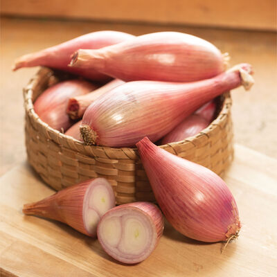 Shallot Long French Onion Seeds - Cena: €1.95