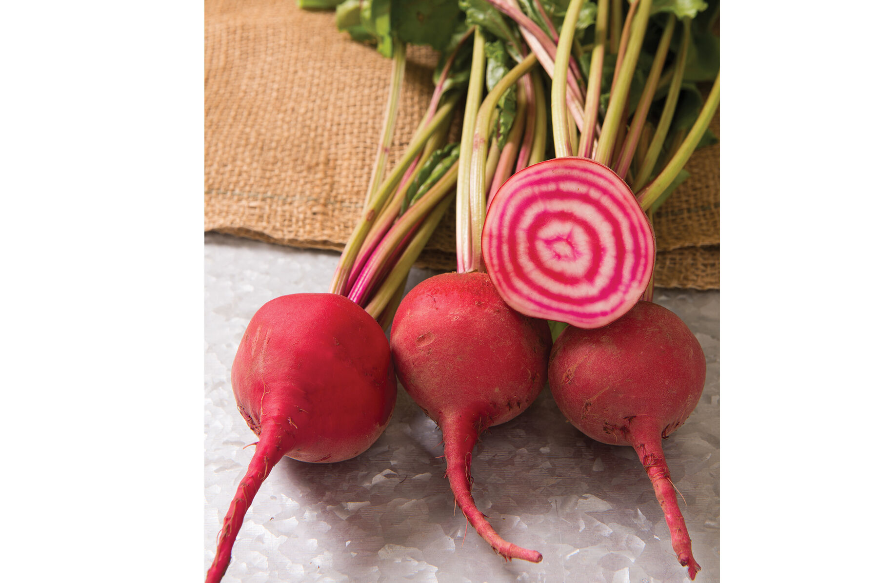 Red Round Beet Seeds - Organic Varieties | Johnny's Selected Seeds