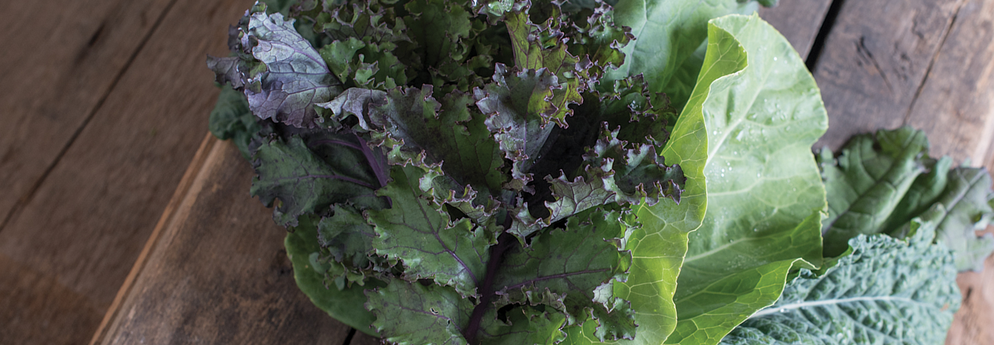 Bunch of mixed kale