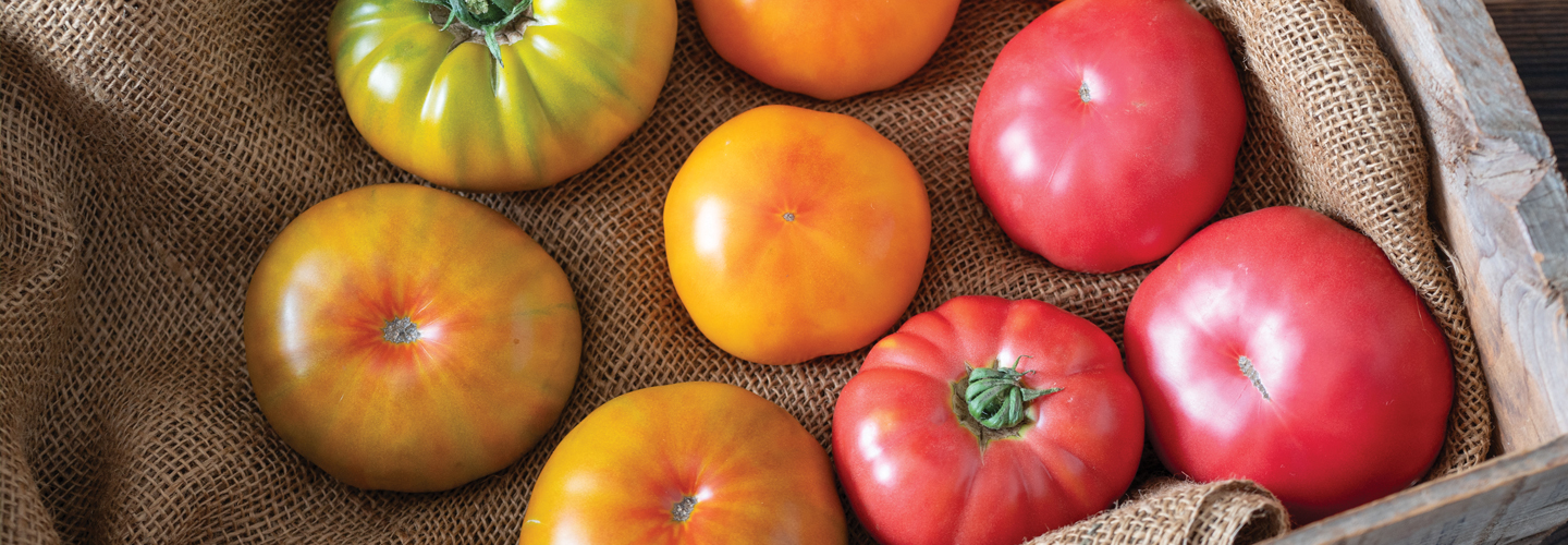 Mixed Tomatoes