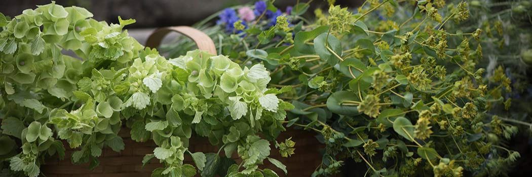 Fillers and foliage form the backbone of floral arrangements and garlands