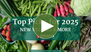 View Our New Veggies 2025 Webinar Video