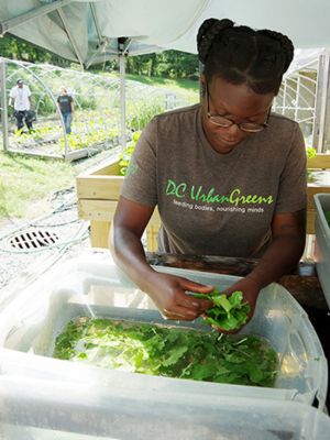 Non-profit organization DC Urban Greens brings low-cost, fresh to the city's food deserts.