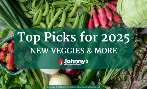 Top Picks for 2025: New Veggies & More!