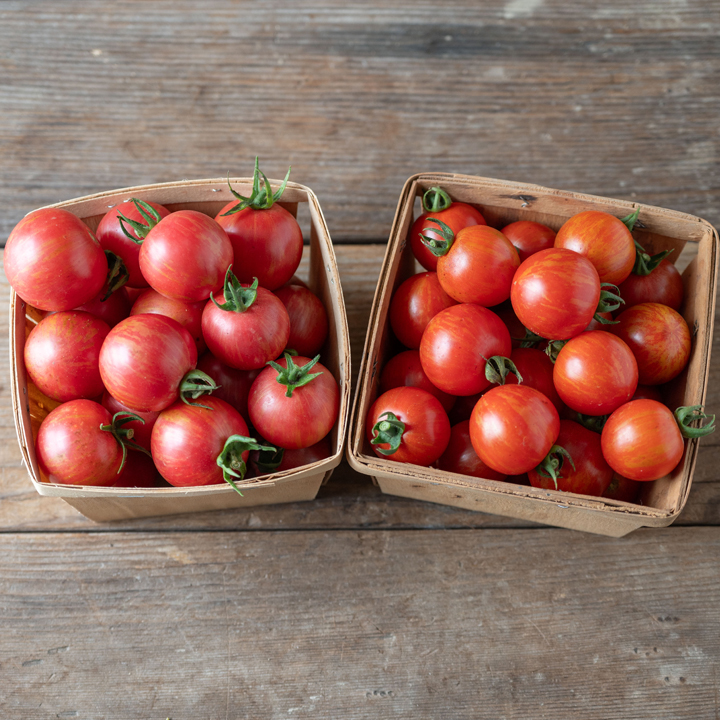 Mixed Tomatoes