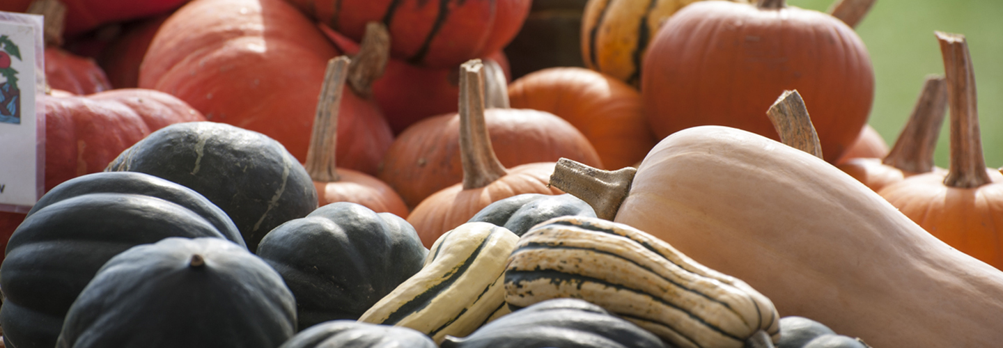 Mixed Winter Squash