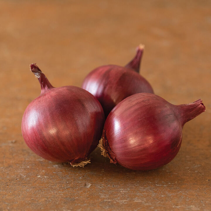 Red Onions