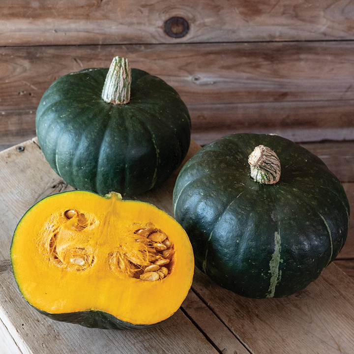 Mambo Squash