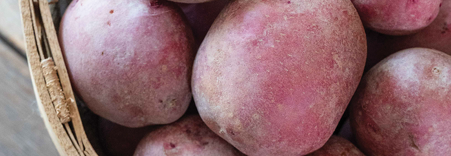 Red Potato