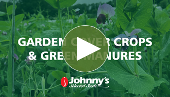 View Our Garden Cover Crops Webinar Video