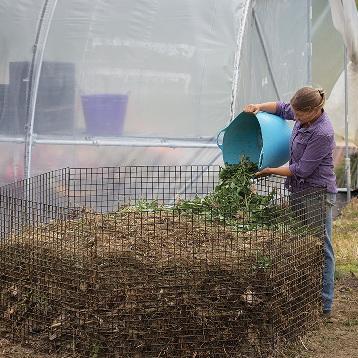 Compost bin