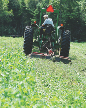 Mowing down spring manure mix cover crop