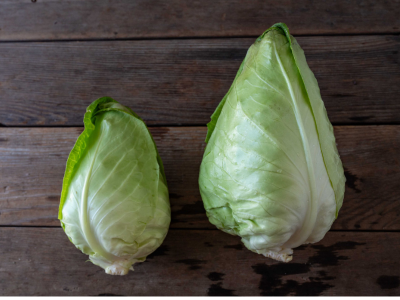 Picadilly and Caraflex pointed cabbages