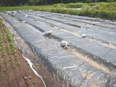 silage tarps