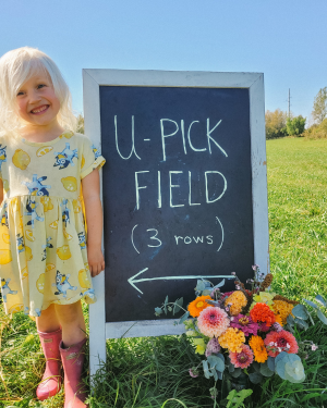 child standing in front of a u-pick sign at Beezie's Blooms