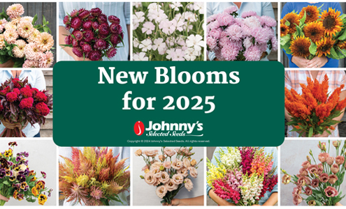 New Blooms for 2025 Webinar