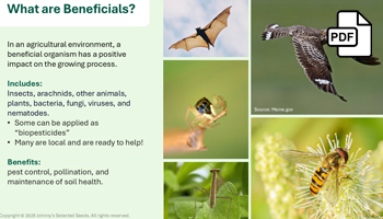 Managing Pests with Ecological Farm Design Webinar Slide Deck PDF