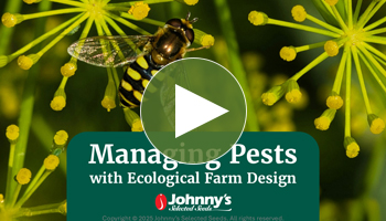 View Our Full Managing Pests with Ecological Farm Design Webinar Video