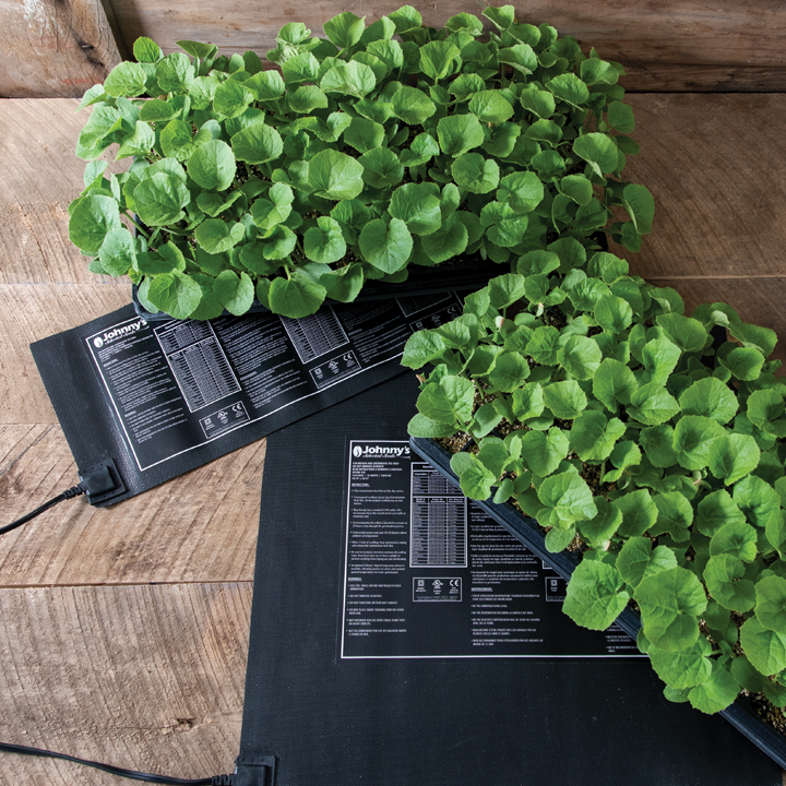 Heat Mats with a tray of green seedlings