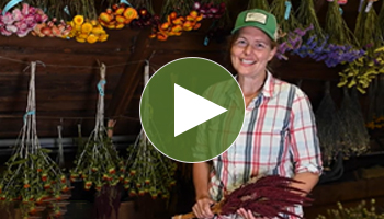 Instructional Video on Drying Flowers