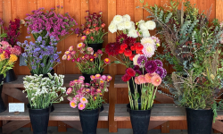 Flower bouquets in a roadside stand