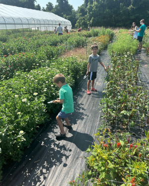 u-pick fields at Grateful Gardeners