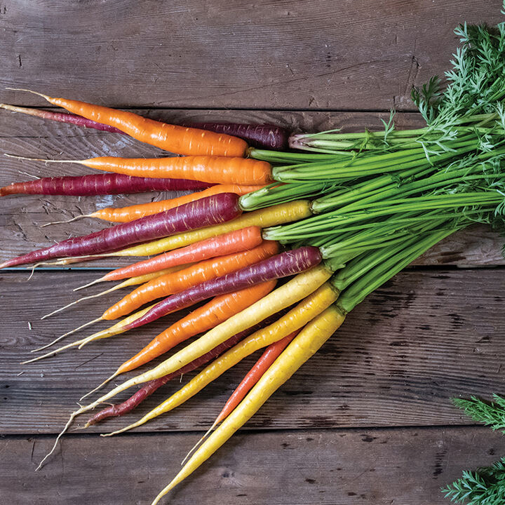 Mixed Colored Carrots