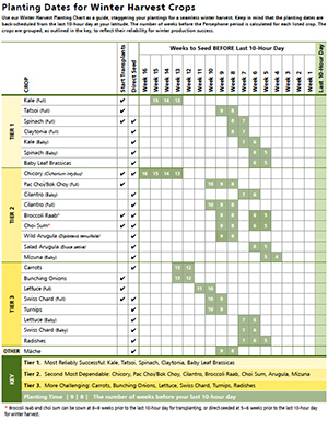 scheduling winter harvest high tunnel crops johnny s winter growing guide