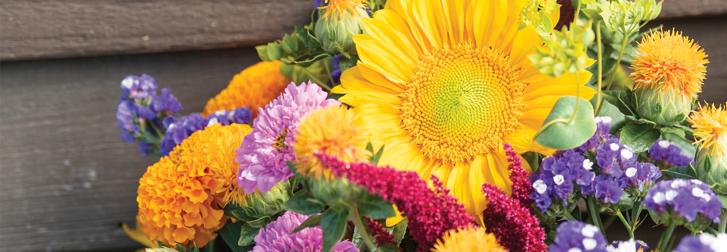 Mixed Bouquet of Flowers