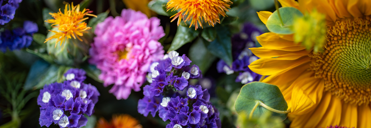 Close-up of mixed flowers.