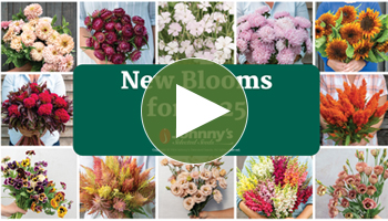 View Our Full New Flowers for 2025 Webinar Video