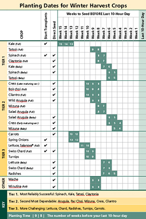 Winter Growing Guide | Part 1: Scheduling Your Winter High Tunnel ...