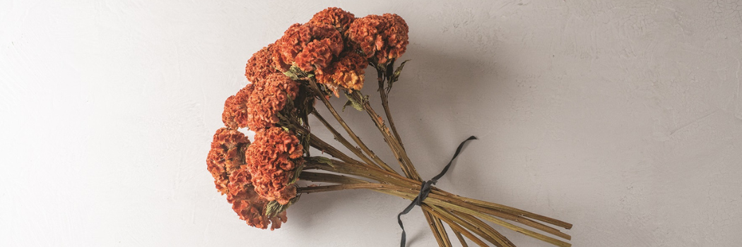 Easy Guide to Air Drying Flowers