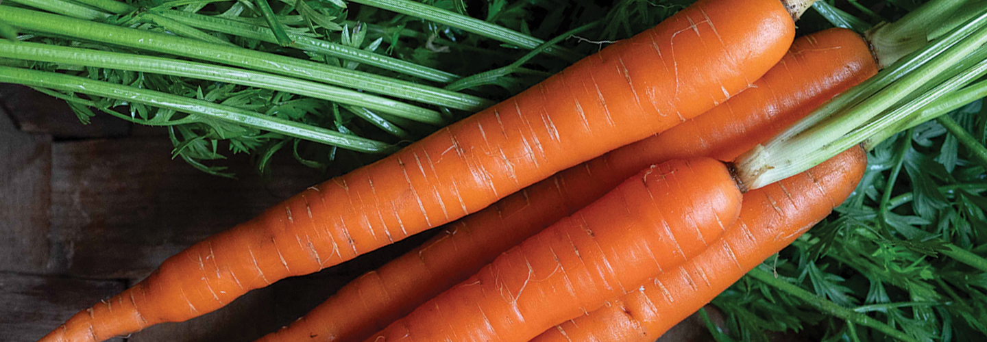 Orange Carrots