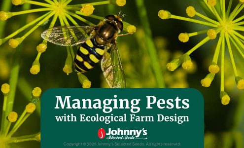 Managing Pests with Ecological Farm Design