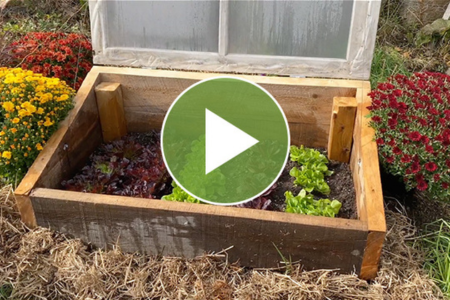 diy cold frame